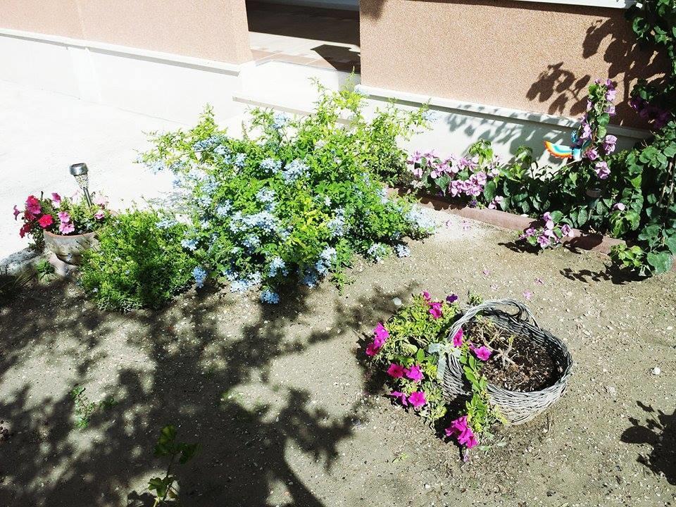 Apartment Marina Kastela